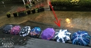 Pluvio Umbrella