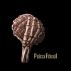 Psyco Fossil Album